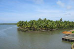 River in Cochin